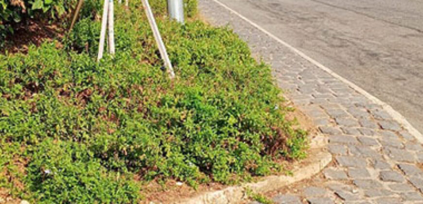 Old House for Sale Batroun City Housing Area 200Sqm Land Area 865Sqm