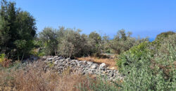 Land for Sale Monsef Jbeil Area 1255Sqm