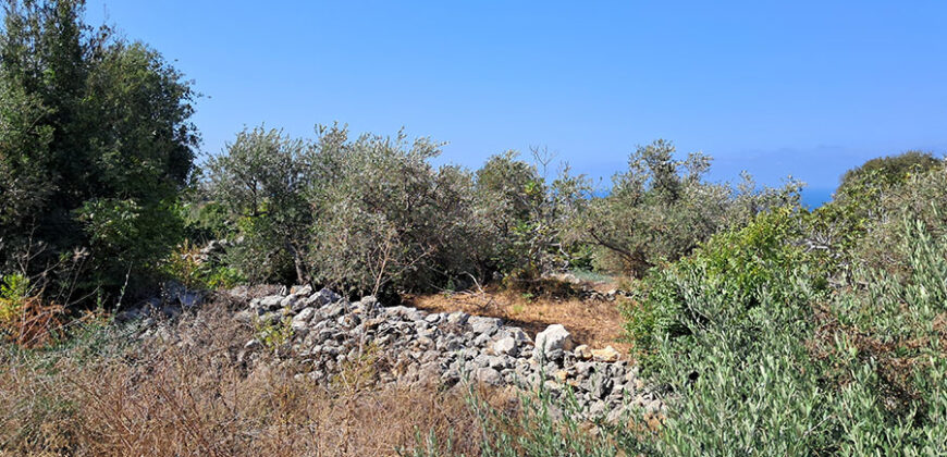 Land for Sale Monsef Jbeil Area 1255Sqm