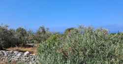 Land for Sale Monsef Jbeil Area 1255Sqm