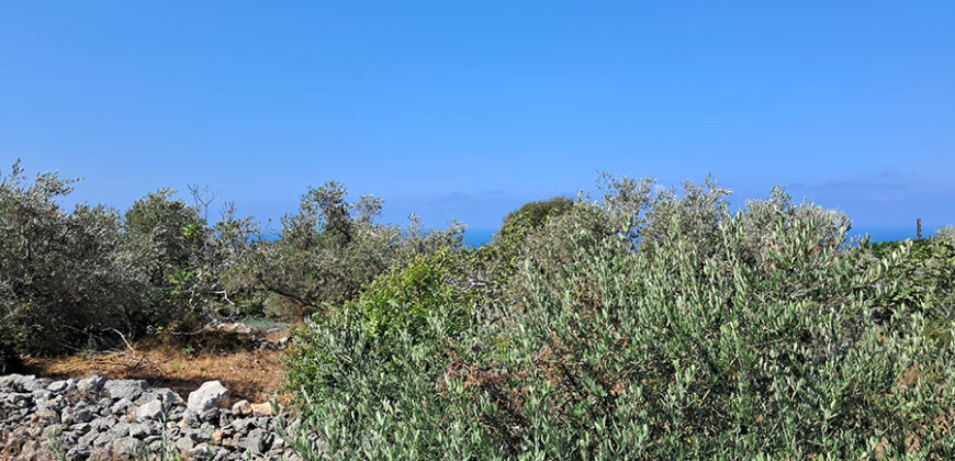Land for Sale Monsef Jbeil Area 1255Sqm