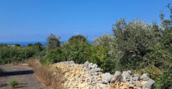 Land for Sale Monsef Jbeil Area 1255Sqm