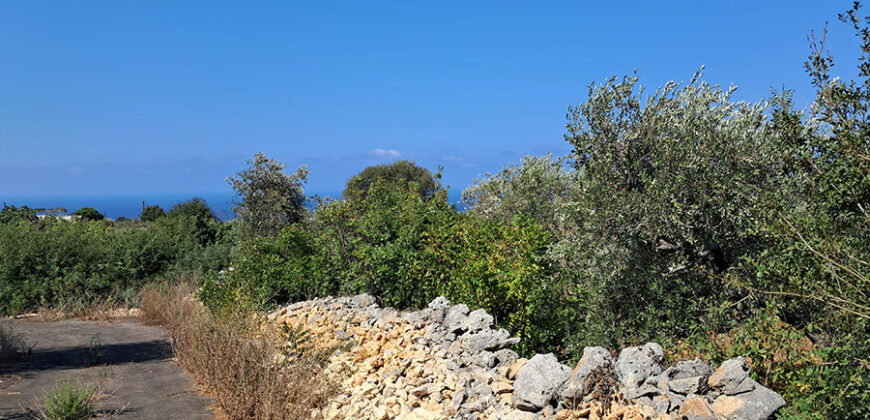 Land for Sale Monsef Jbeil Area 1255Sqm