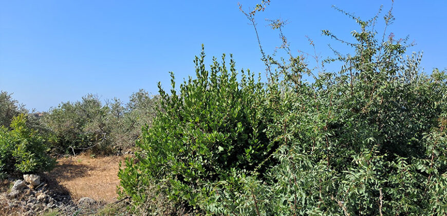 Land for Sale Monsef Jbeil Area 1255Sqm