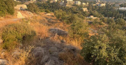 Land for Sale Kfar Aabida Batroun Area 1365Sqm
