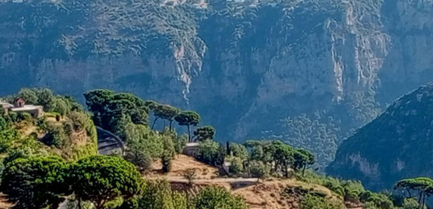 Land for Sale Hadath El Jebbeh Bsharri Area 750Sqm