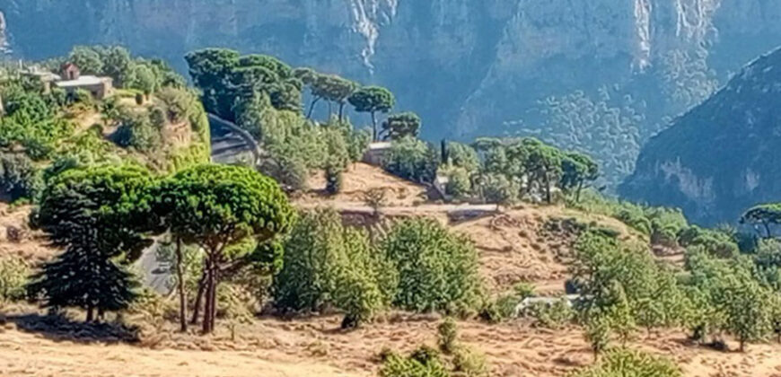 Land for Sale Hadath El Jebbeh Bsharri Area 750Sqm