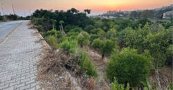 Land for Sale Batroun City Area 4663Sqm
