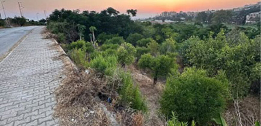 Land for Sale Batroun City Area 4663Sqm