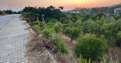 Land for Sale Batroun City Area 4663Sqm