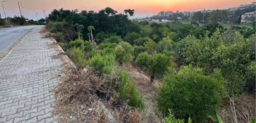 Land for Sale Batroun City Area 4663Sqm