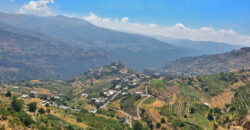 Land for Sale Bsharri Bsharri City Area 2000Sqm