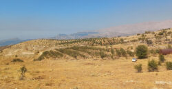 Land for Sale Hadath El Jebbeh Bsharri Area 2902Sqm