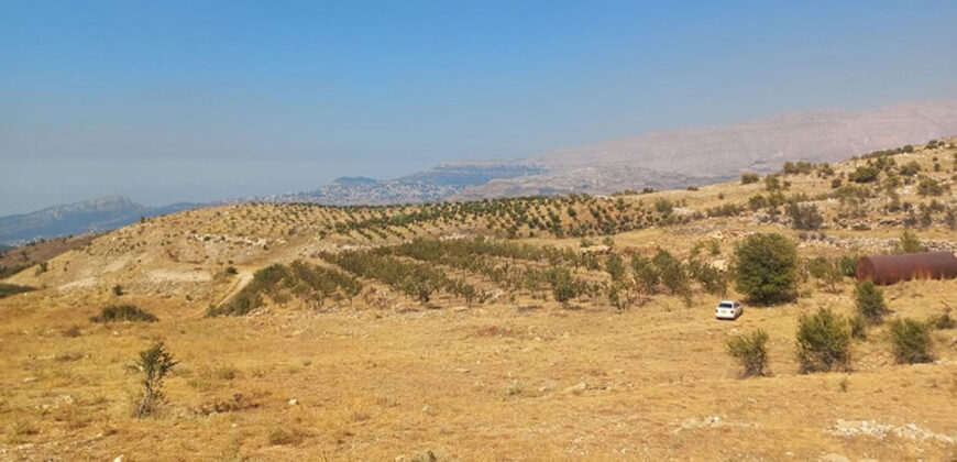 Land for Sale Hadath El Jebbeh Bsharri Area 2902Sqm