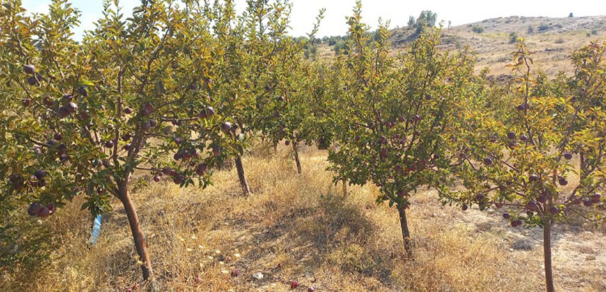Land for Sale Hadath El Jebbeh Bsharri Area 2902Sqm