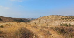 Land for Sale Hadath El Jebbeh Bsharri Area 2902Sqm
