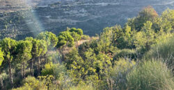 Land for Sale Hadtoun Batroun Area 1890Sqm