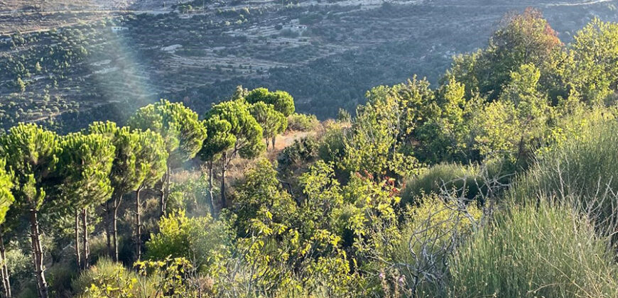 Land for Sale Hadtoun Batroun Area 1890Sqm