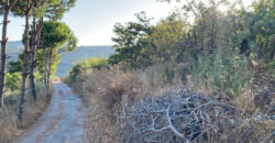 Land for Sale Hadtoun Batroun Area 1890Sqm