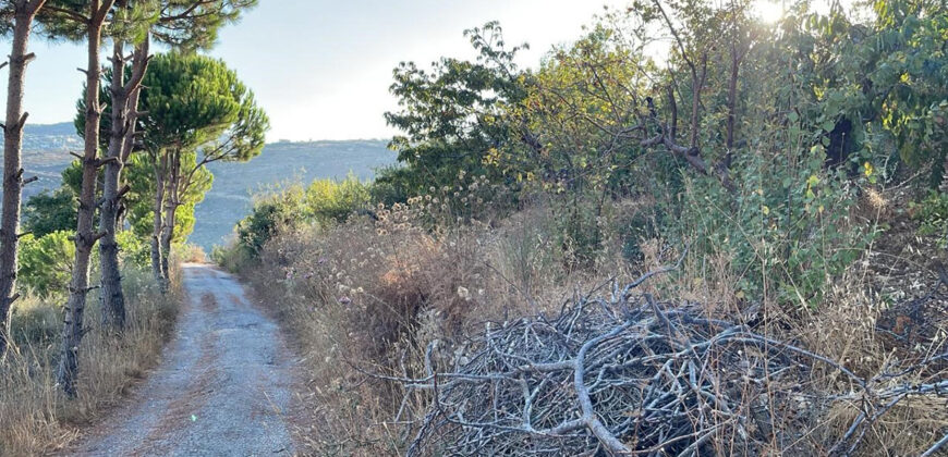 Land for Sale Hadtoun Batroun Area 1890Sqm