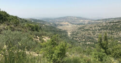 Land for Sale Hadtoun Batroun Area 3365Sqm