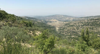 Land for Sale Hadtoun Batroun Area 3365Sqm