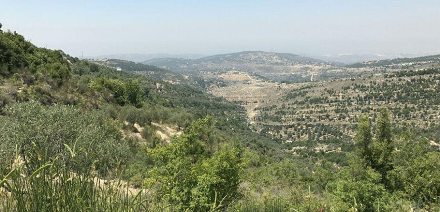 Land for Sale Hadtoun Batroun Area 3365Sqm