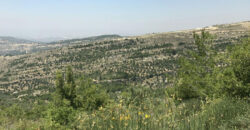 Land for Sale Hadtoun Batroun Area 3365Sqm
