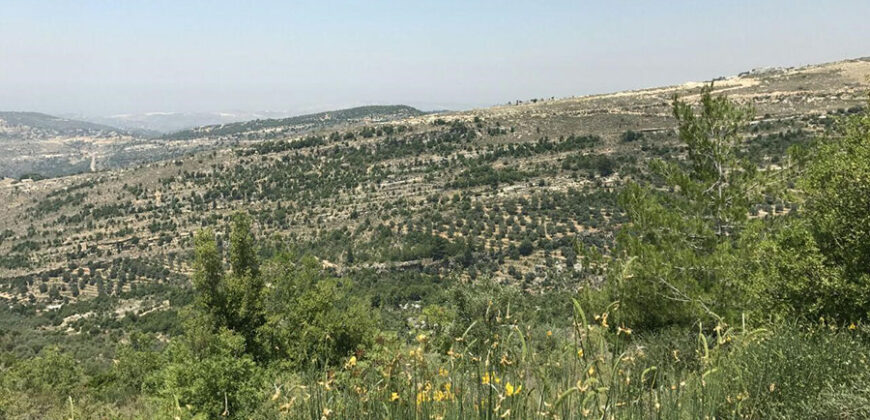Land for Sale Hadtoun Batroun Area 3365Sqm
