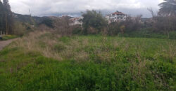 Land for Sale Jran Batroun Area 10000Sqm