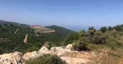 Land for Sale Hakel Jbeil Area 1210Sqm