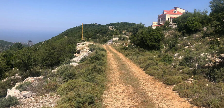 Land for Sale Hakel Jbeil Area 1210Sqm