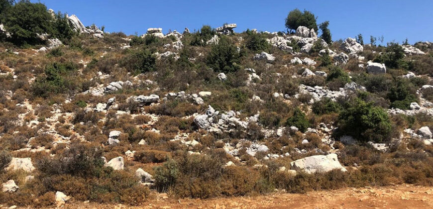 Land for Sale Hakel Jbeil Area 1210Sqm