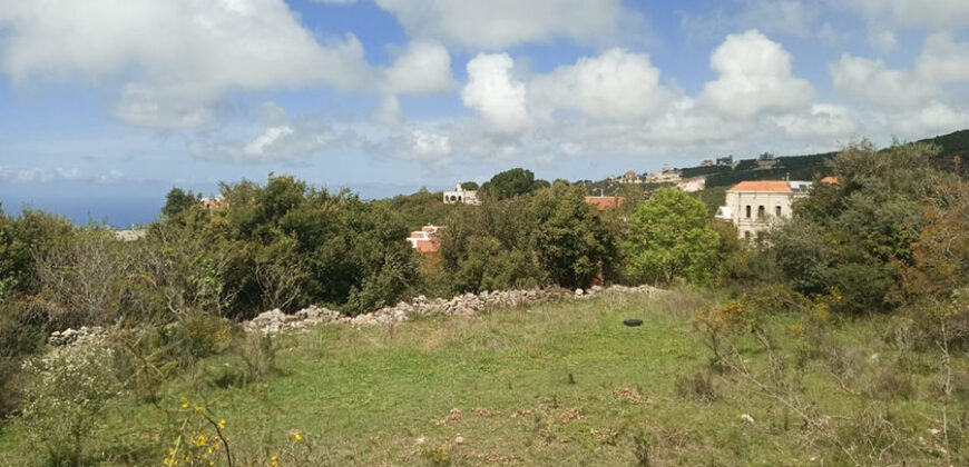 Land for Sale Barij Jbeil Area 1162Sqm