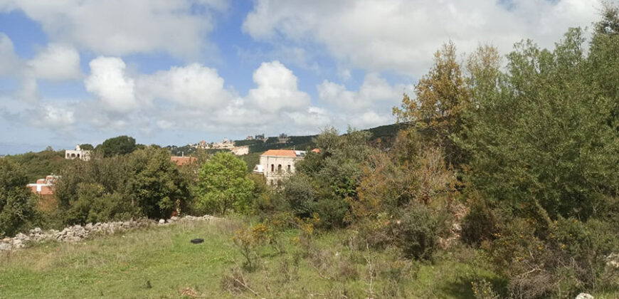 Land for Sale Barij Jbeil Area 1162Sqm