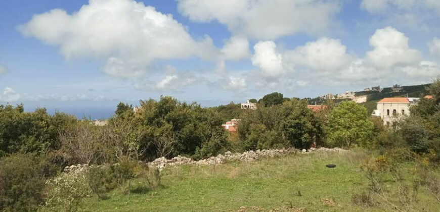 Land for Sale Barij Jbeil Area 1162Sqm