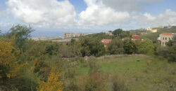 Land for Sale Barij Jbeil Area 1162Sqm