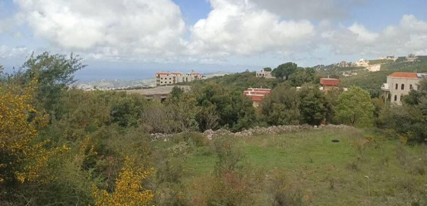 Land for Sale Barij Jbeil Area 1162Sqm