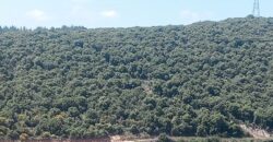 Land for Sale Edde Batroun Area 814Sqm