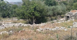 Land for Sale Zaaitra Kesserwan Area 5093Sqm & Old House 2 Floor Area 150Sqm