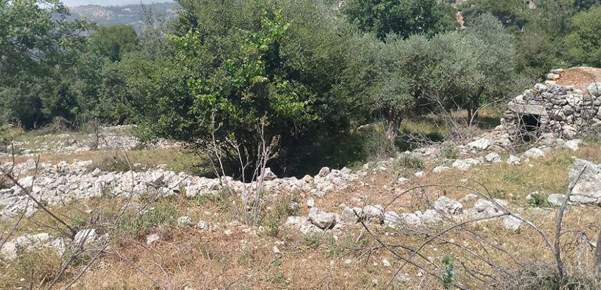 Land for Sale Zaaitra Kesserwan Area 5093Sqm & Old House 2 Floor Area 150Sqm