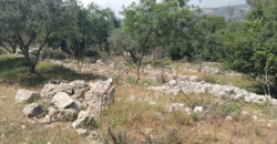 Land for Sale Zaaitra Kesserwan Area 5093Sqm & Old House 2 Floor Area 150Sqm