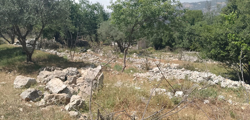 Land for Sale Zaaitra Kesserwan Area 5093Sqm & Old House 2 Floor Area 150Sqm