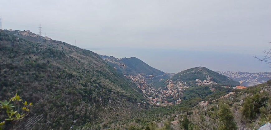 Land for Sale Aghbe Kesserwan Area 3630Sqm & Arched Naturel Stone Area 41Sqm