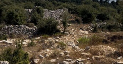 Land for Sale Hakel Jbeil Area 3300Sqm