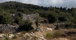 Land for Sale Hakel Jbeil Area 3300Sqm