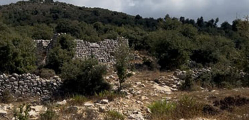 Land for Sale Hakel Jbeil Area 3300Sqm