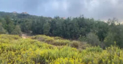 Land for Sale Mechmech Jbeil Area 1330Sqm