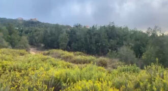 Land for Sale Mechmech Jbeil Area 1330Sqm