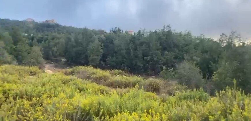 Land for Sale Mechmech Jbeil Area 1330Sqm